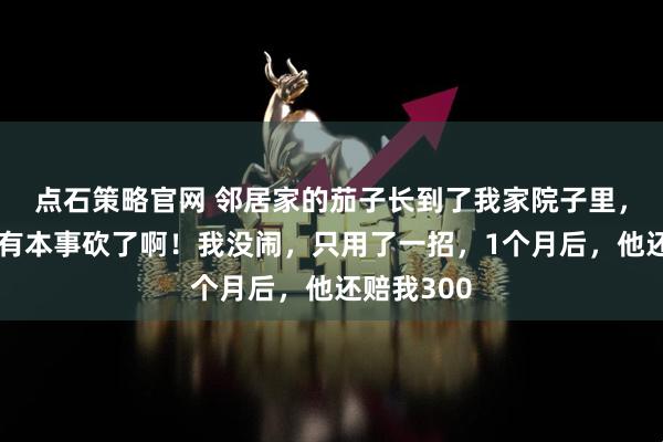 点石策略官网 邻居家的茄子长到了我家院子里，他嚣张：有本事砍了啊！我没闹，只用了一招，1个月后，他还赔我300