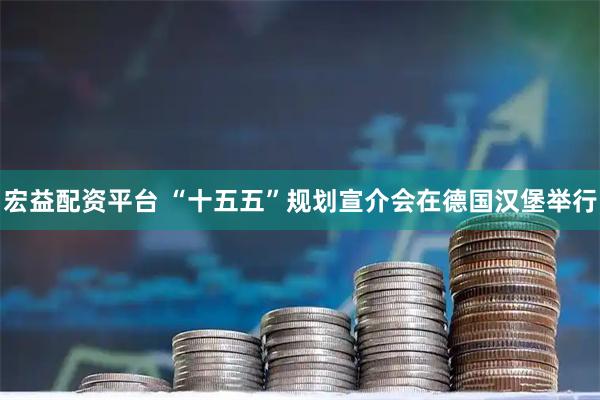 宏益配资平台 “十五五”规划宣介会在德国汉堡举行