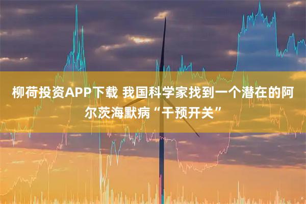 柳荷投资APP下载 我国科学家找到一个潜在的阿尔茨海默病“干预开关”