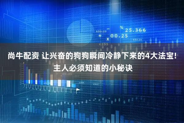 尚牛配资 让兴奋的狗狗瞬间冷静下来的4大法宝! 主人必须知道的小秘诀